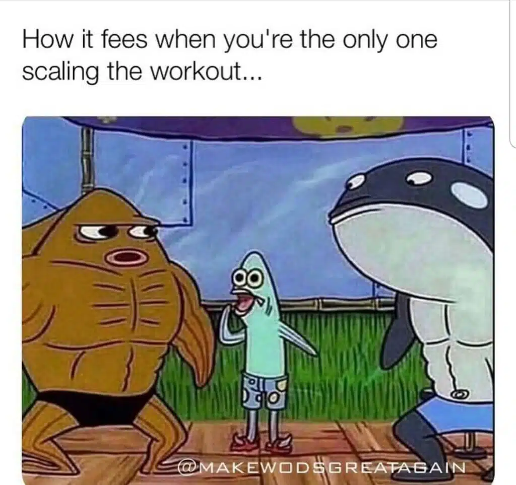 WhatsApp Image 2019-06-27 at 16.26.47 – kopie