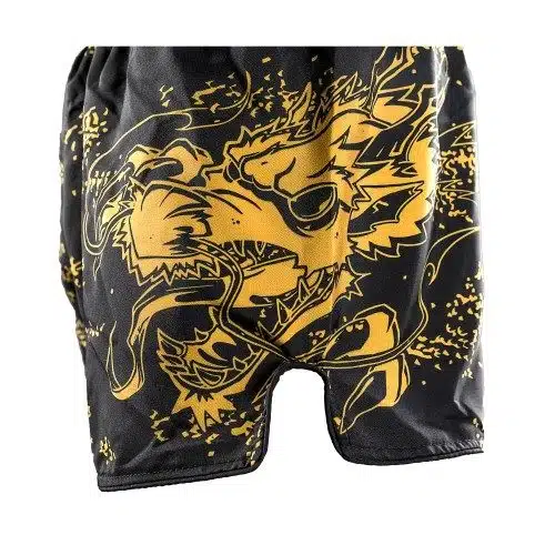 Joya junior kickboksbroek dragon goud