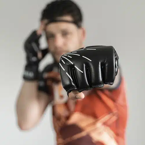 Energia fightwear mma handschoen
