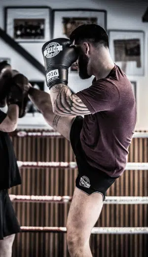 Kickbox 2 (300 x 520 px) (1) Kickbox