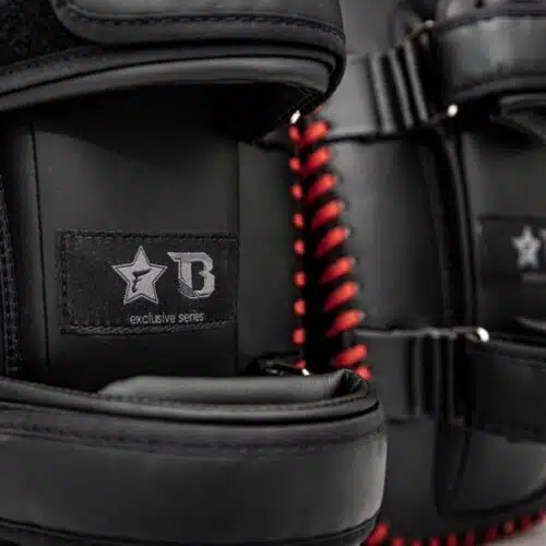 Fairtex x booster pao pads