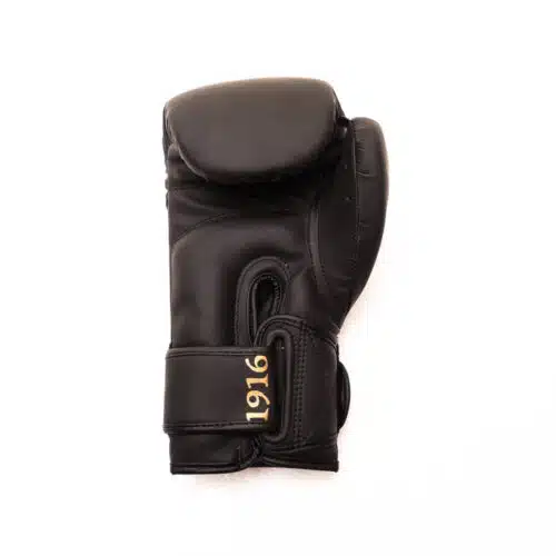 1916 fight gear bokshandschoen legend pu zwart/goud