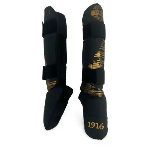 1916 Scheenbeschermers Youth Fighter Gold