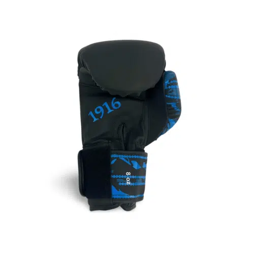 1916 fight gear bokshandschoenen youth fighter