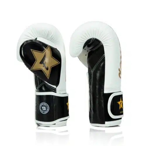 fairtex bokshandschoenen white/black