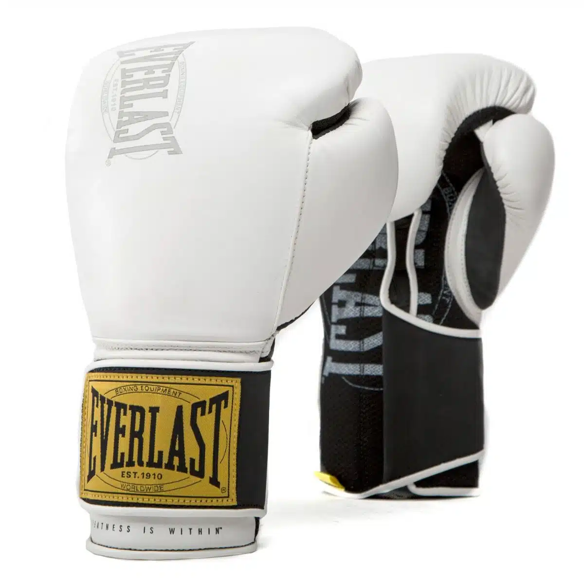 Everlast Bokshandschoenen 1910 Classic Training - White
