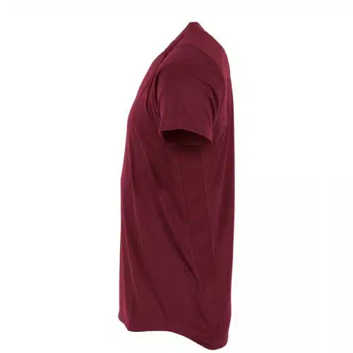 Stanno Functionals Training Shirt II Burgundy