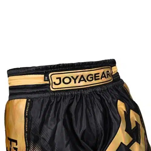 Joya Gear Kickboksbroek Evolution Holographic Zwart/Goud