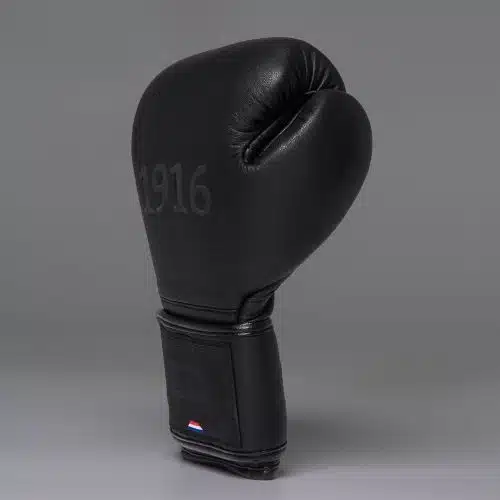1916 Fight Gear Bokshandschoenen Premium Elite Black/Black