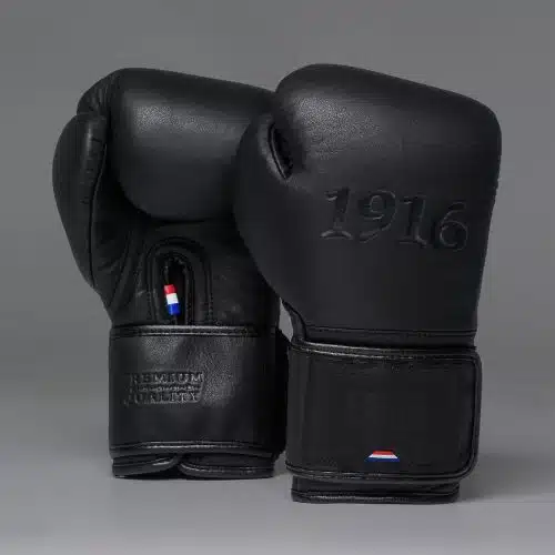 1916 Fight Gear Bokshandschoenen Premium Elite Black/Black