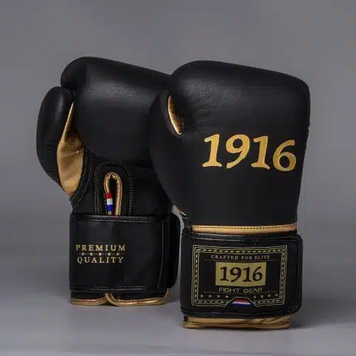1916 Fight Gear Bokshandschoenen Premium Elite Black/Gold
