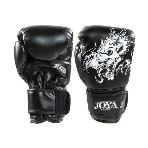 Joya Fight Gear Kickboks Set Kids Dragon Wit